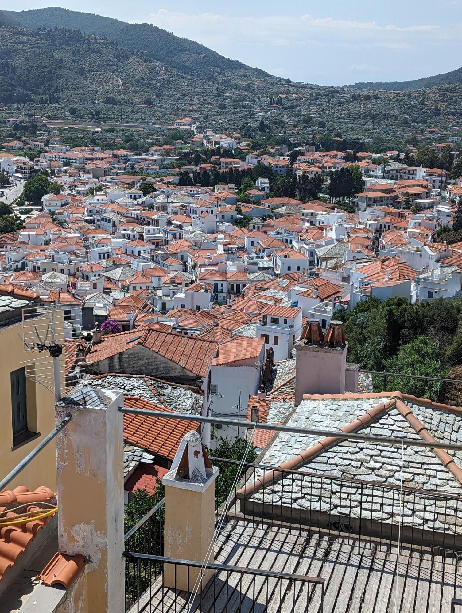 The Botanist Guesthouse Σκόπελος Εξωτερικό φωτογραφία