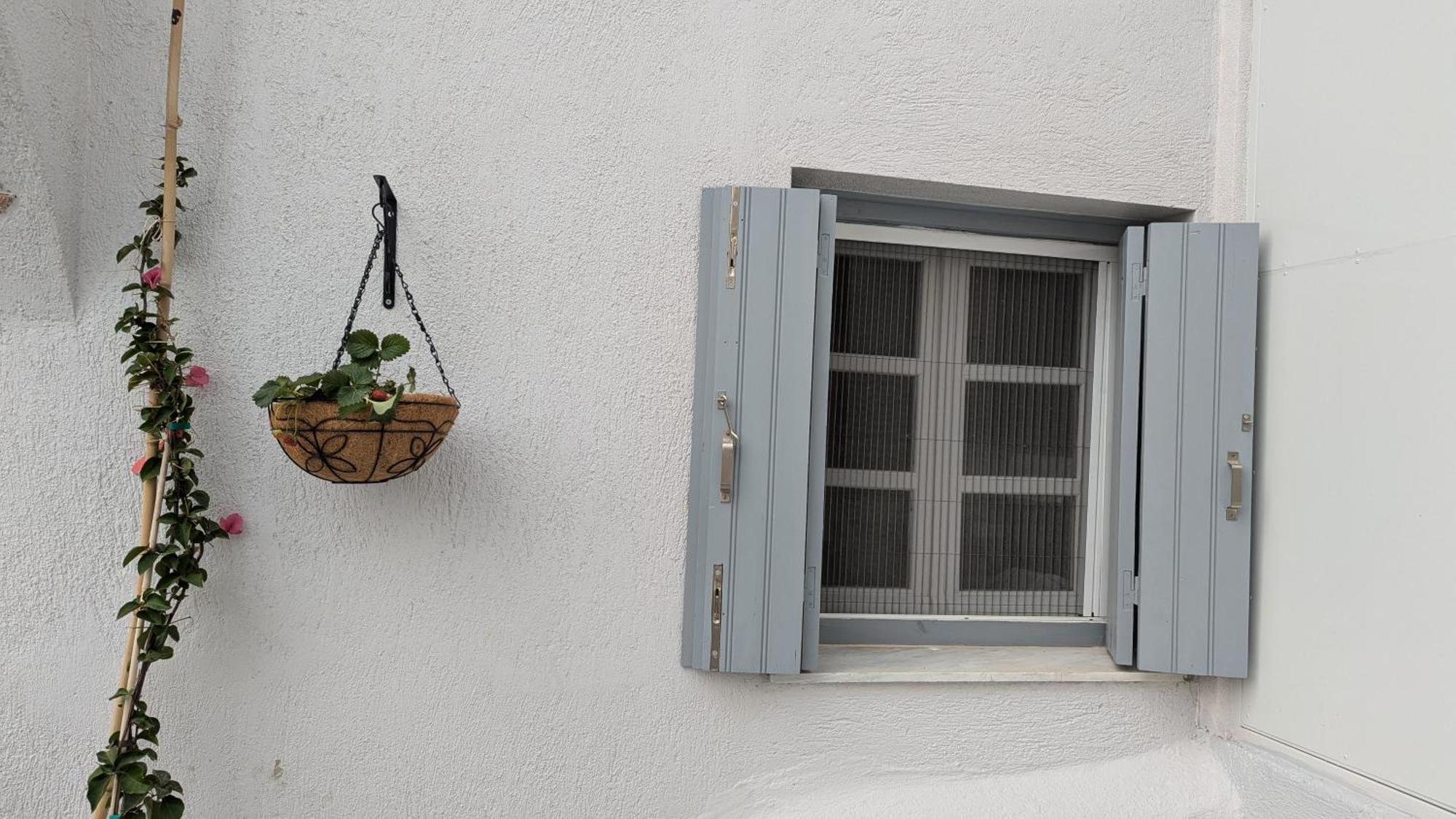 The Botanist Guesthouse Σκόπελος Εξωτερικό φωτογραφία