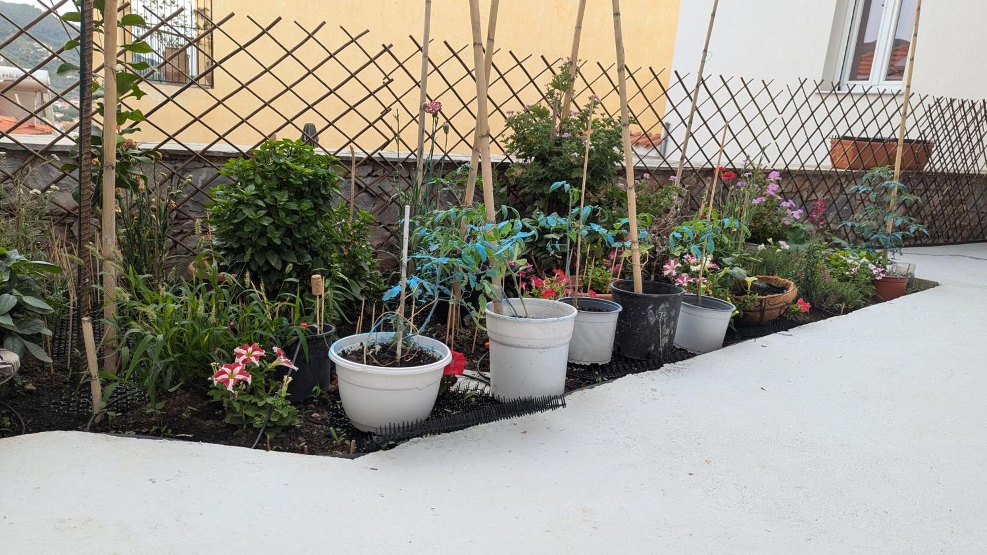 The Botanist Guesthouse Σκόπελος Εξωτερικό φωτογραφία