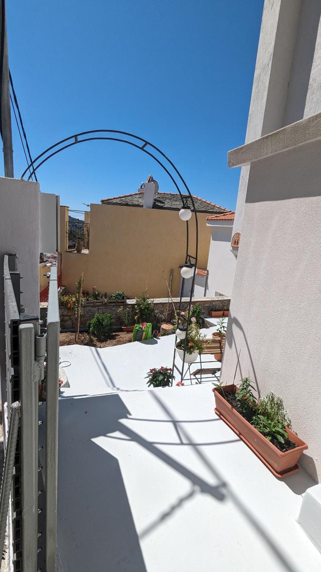 The Botanist Guesthouse Σκόπελος Εξωτερικό φωτογραφία