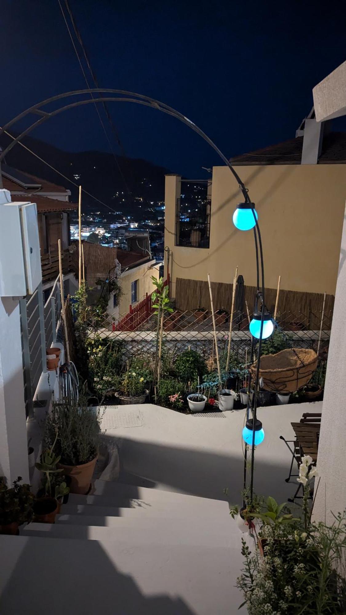 The Botanist Guesthouse Σκόπελος Εξωτερικό φωτογραφία