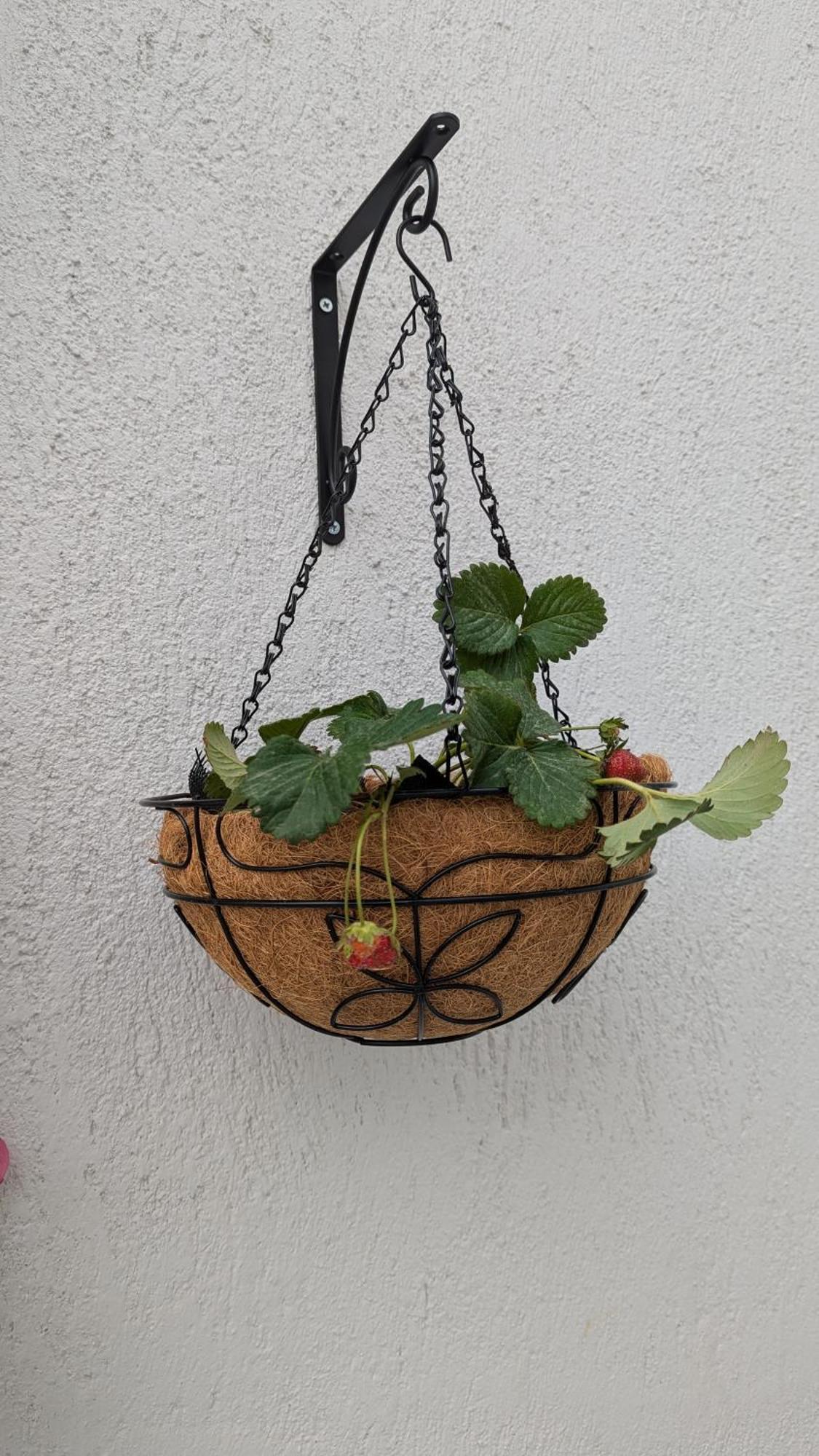 The Botanist Guesthouse Σκόπελος Εξωτερικό φωτογραφία