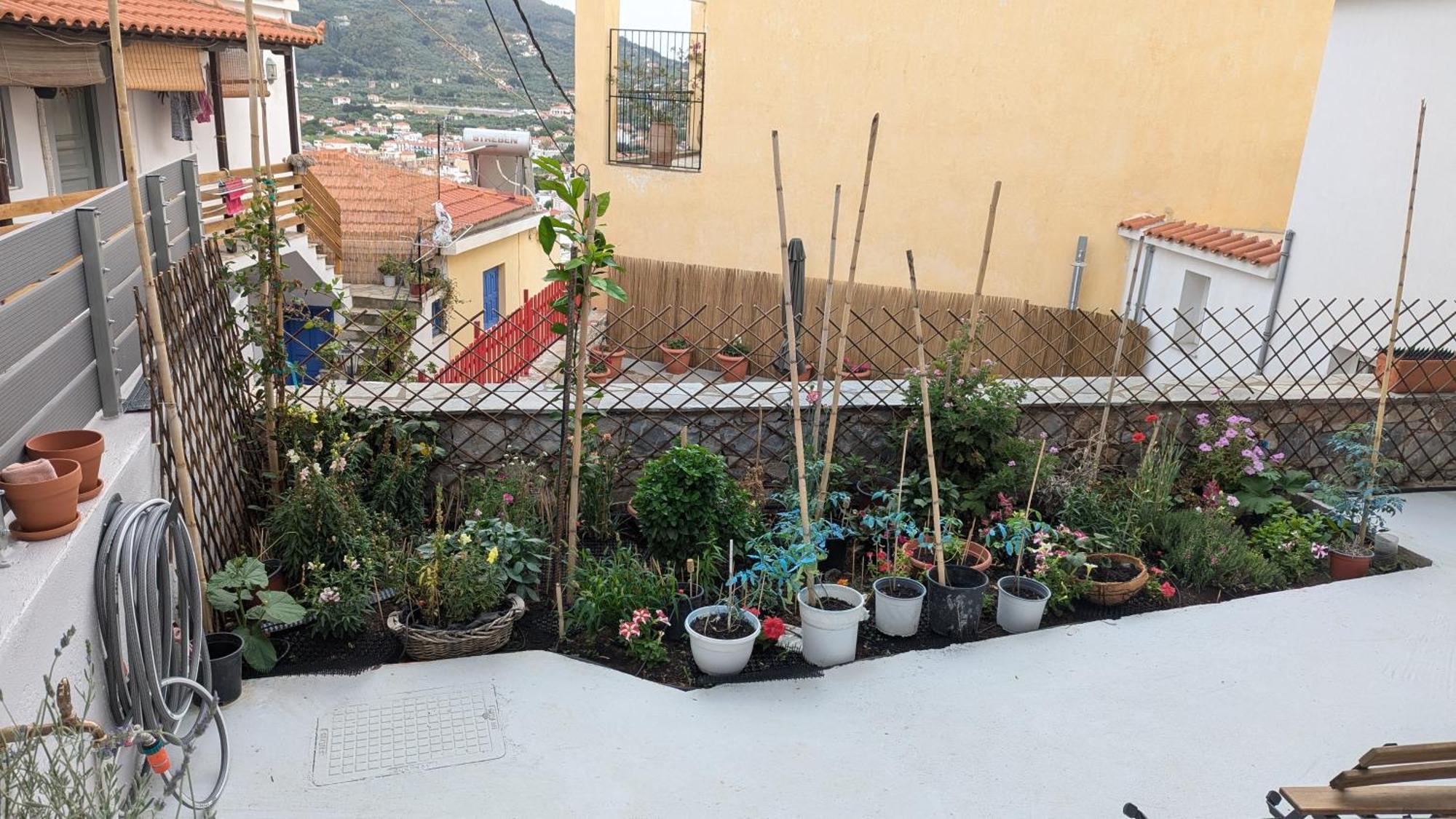 The Botanist Guesthouse Σκόπελος Εξωτερικό φωτογραφία