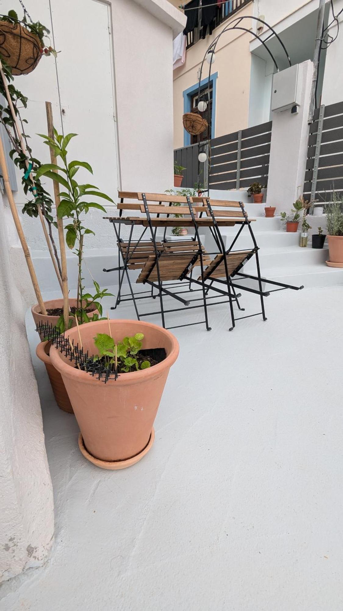 The Botanist Guesthouse Σκόπελος Εξωτερικό φωτογραφία
