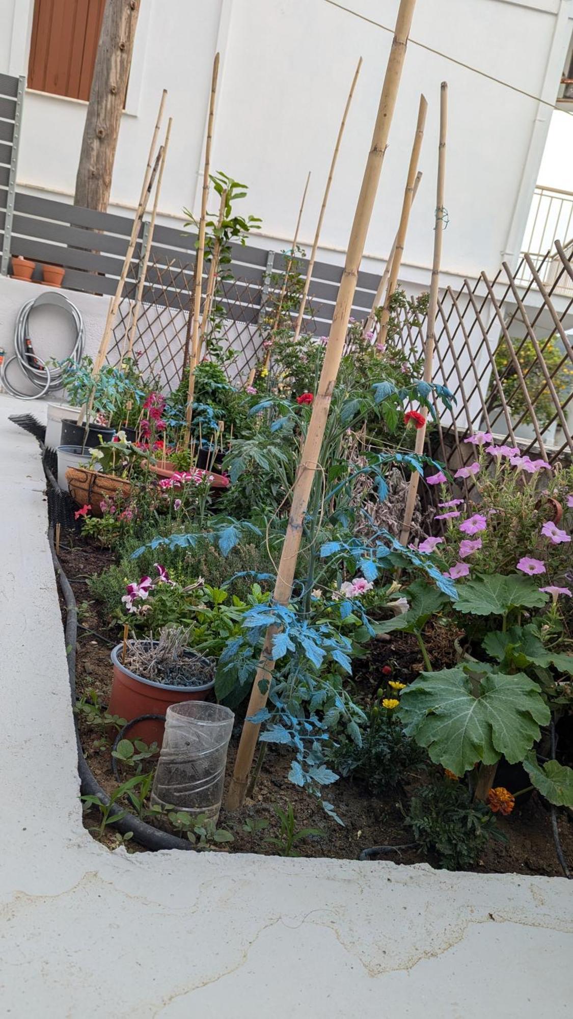 The Botanist Guesthouse Σκόπελος Εξωτερικό φωτογραφία